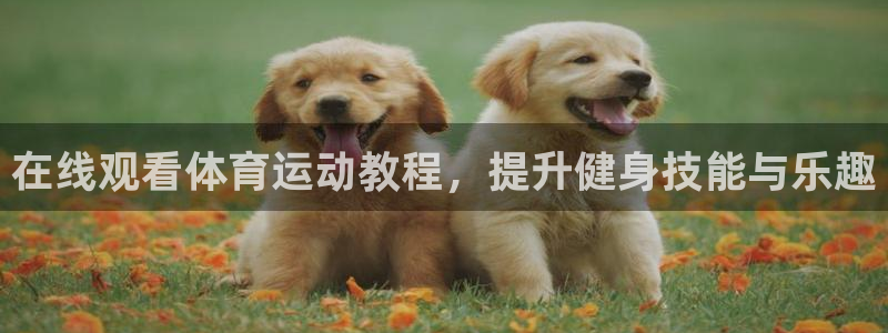 必一运动
