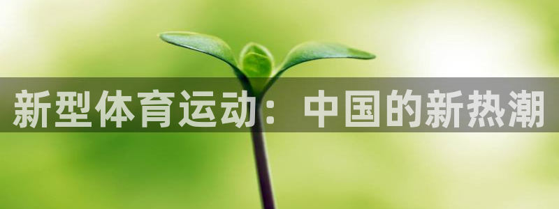 必一运动app：新型体育运动：中国的新热潮