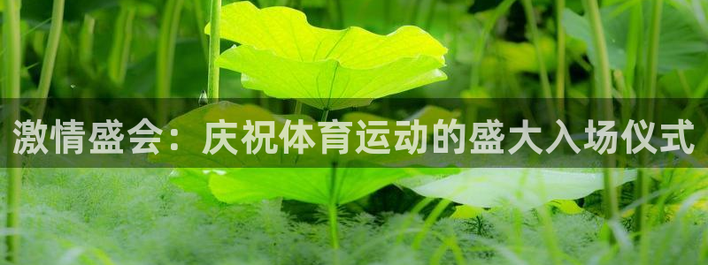bsports必一运动：激情盛会：庆祝体育运动的盛大入场仪式