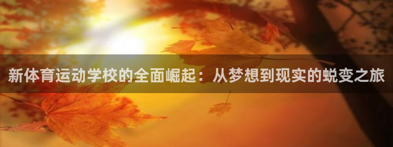 必一运动：新体育运动学校的全面崛起：从梦想到现实的蜕变之旅