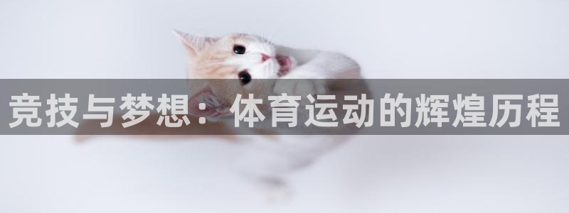 bsports必一运动：竞技与梦想：体育运动的辉煌历程