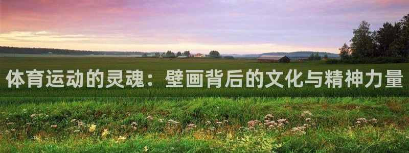 bsports必一运动