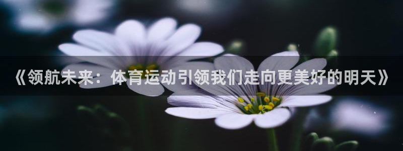必一运动app