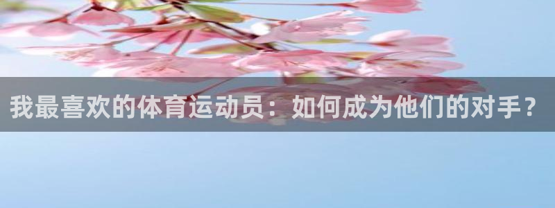 必一运动体育官网入口