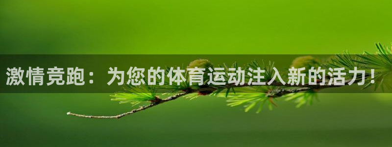 必一运动体育：激情竞跑：为您的体育运动注入新的活力！