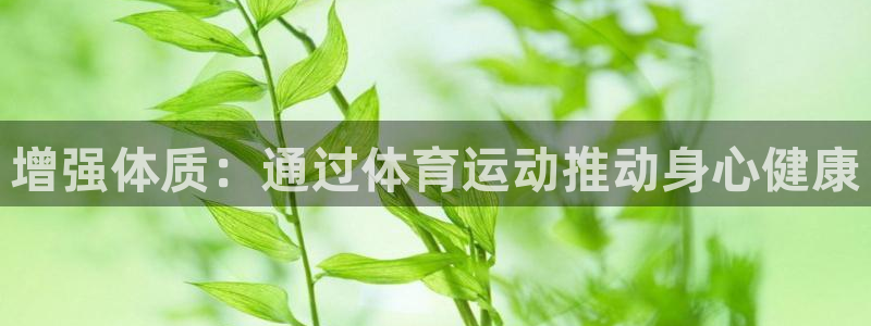 必一运动官网：增强体质：通过体育运动推动身心健康