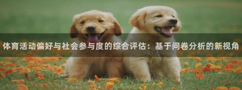必一运动官网入口：体育活动偏好与社会参与度的综合评估：基于问卷分析的新视角