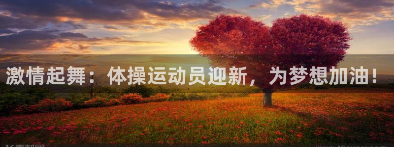 必一运动bsport体育