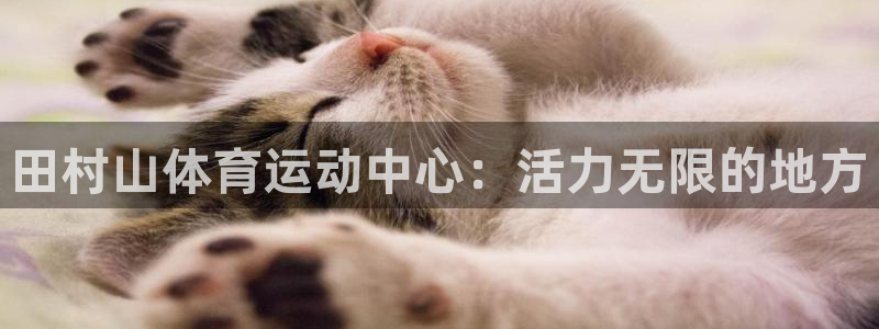必一运动官网