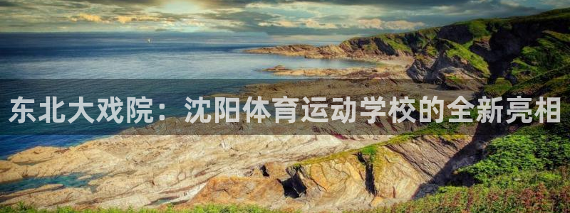 必一运动体育官网入口