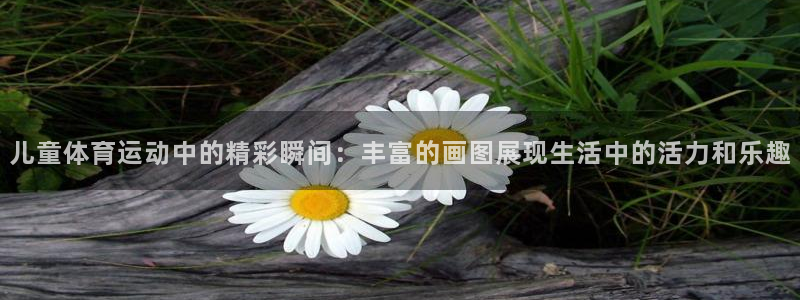 必一运动：儿童体育运动中的精彩瞬间：丰富的画图展现生活中的活力和乐趣