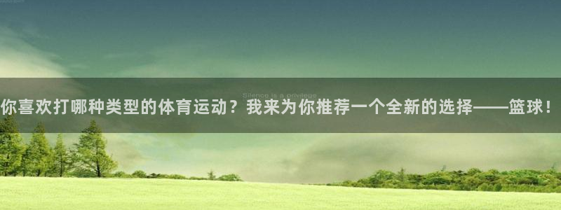 bsports官网 必一运动：你喜欢打哪种类型的体育运动？我来为你推荐一个全新的选择——篮球！